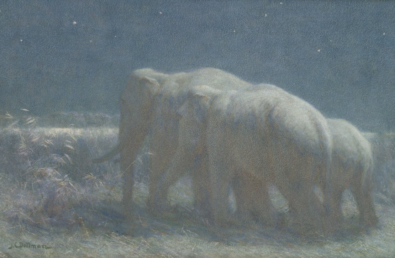 Gece, 1908 (kağıt üzerinde tuvalet ve tebeşir) by John Charles Dollman