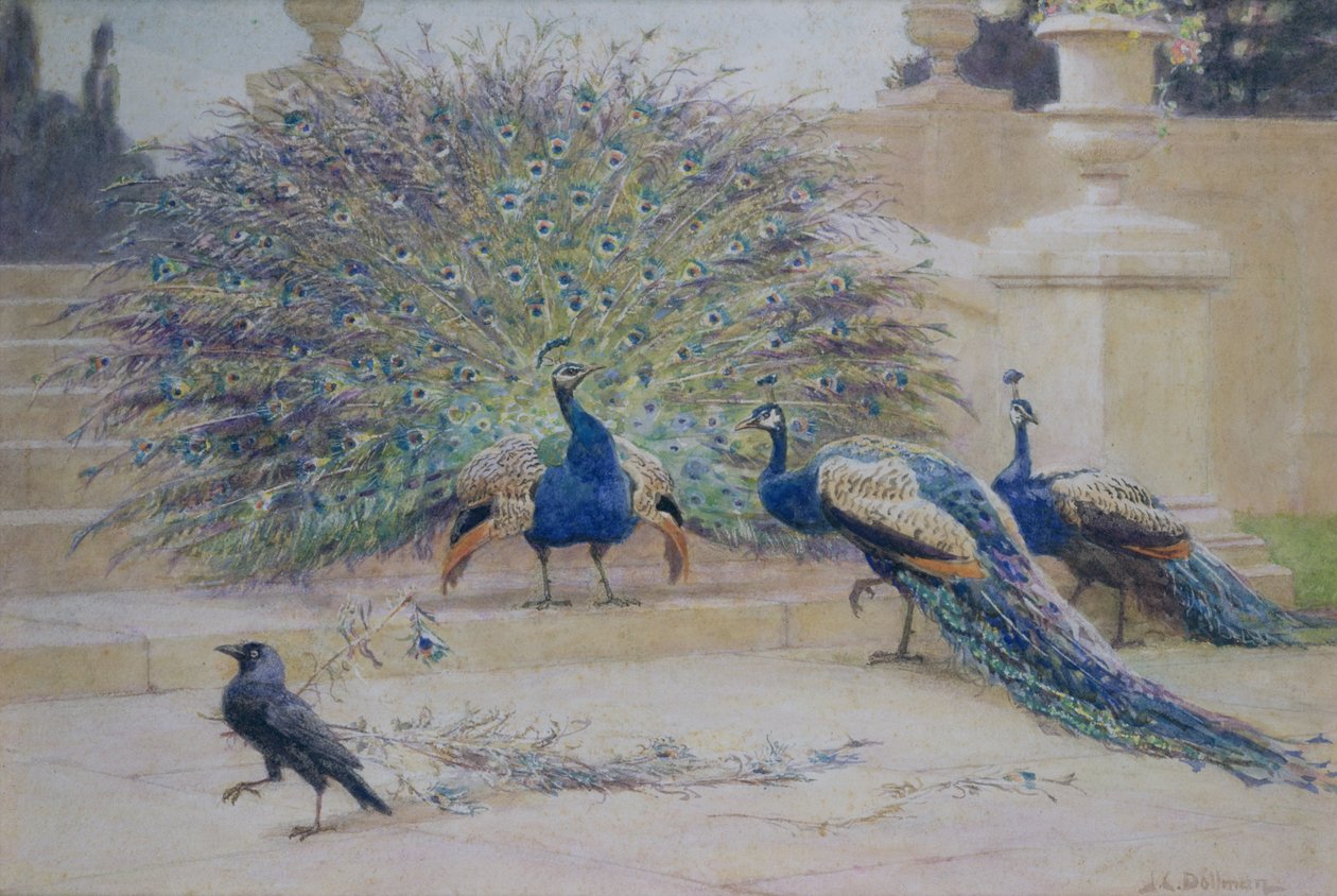 Ödünç Tüy by John Charles Dollman