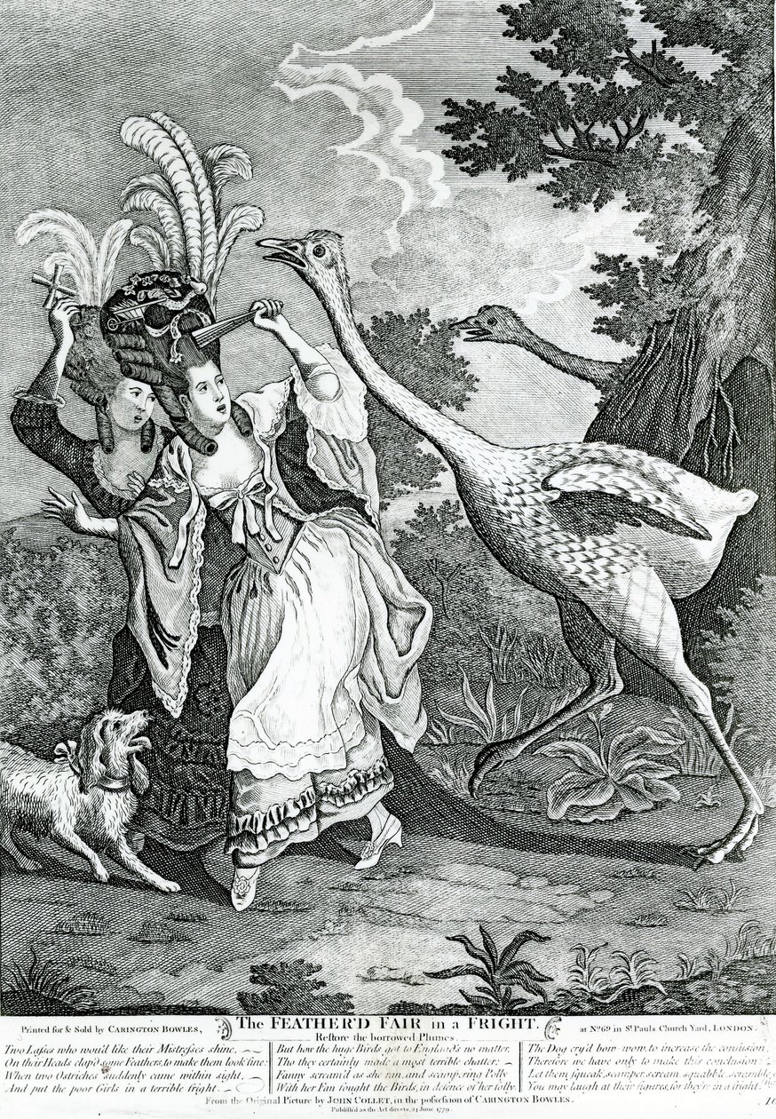 Korkudaki Tüylü Arkadaş, 1779 by John Collet