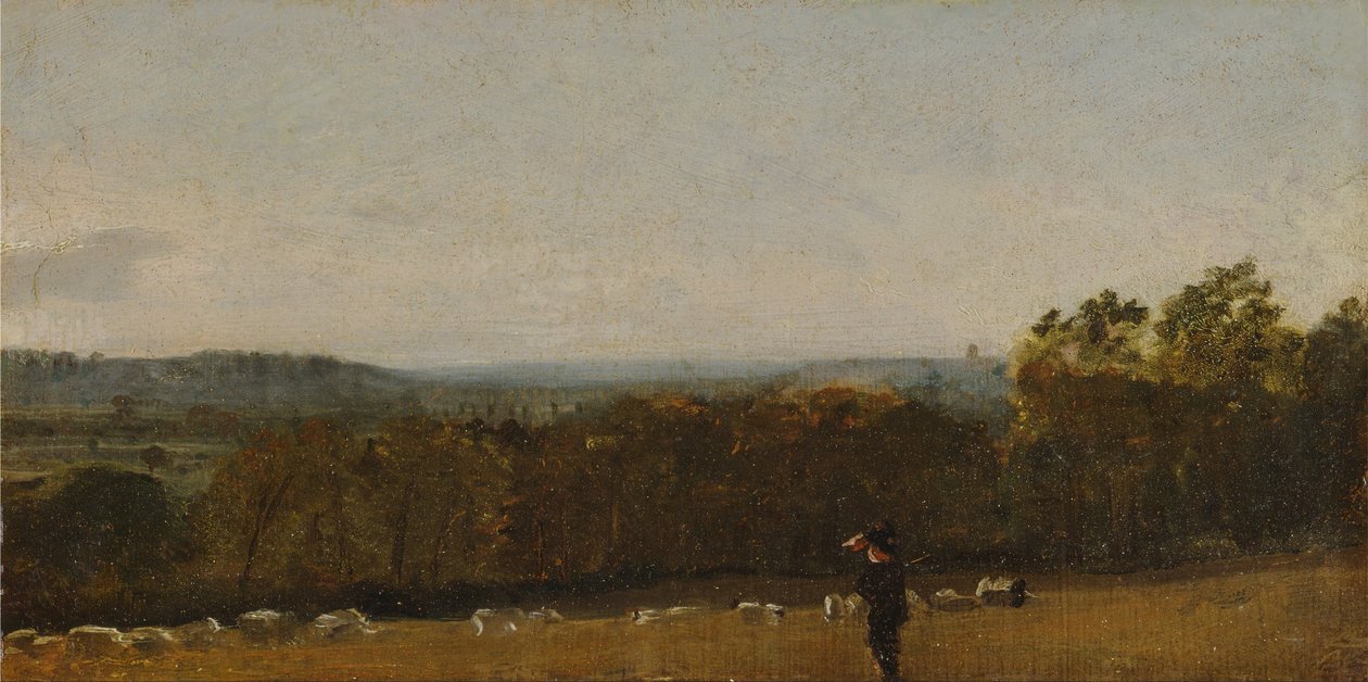 Manzarada Bir Çoban, Dedham Vale