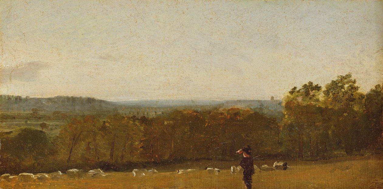 Manzarada Bir Çoban, Dedham Vale