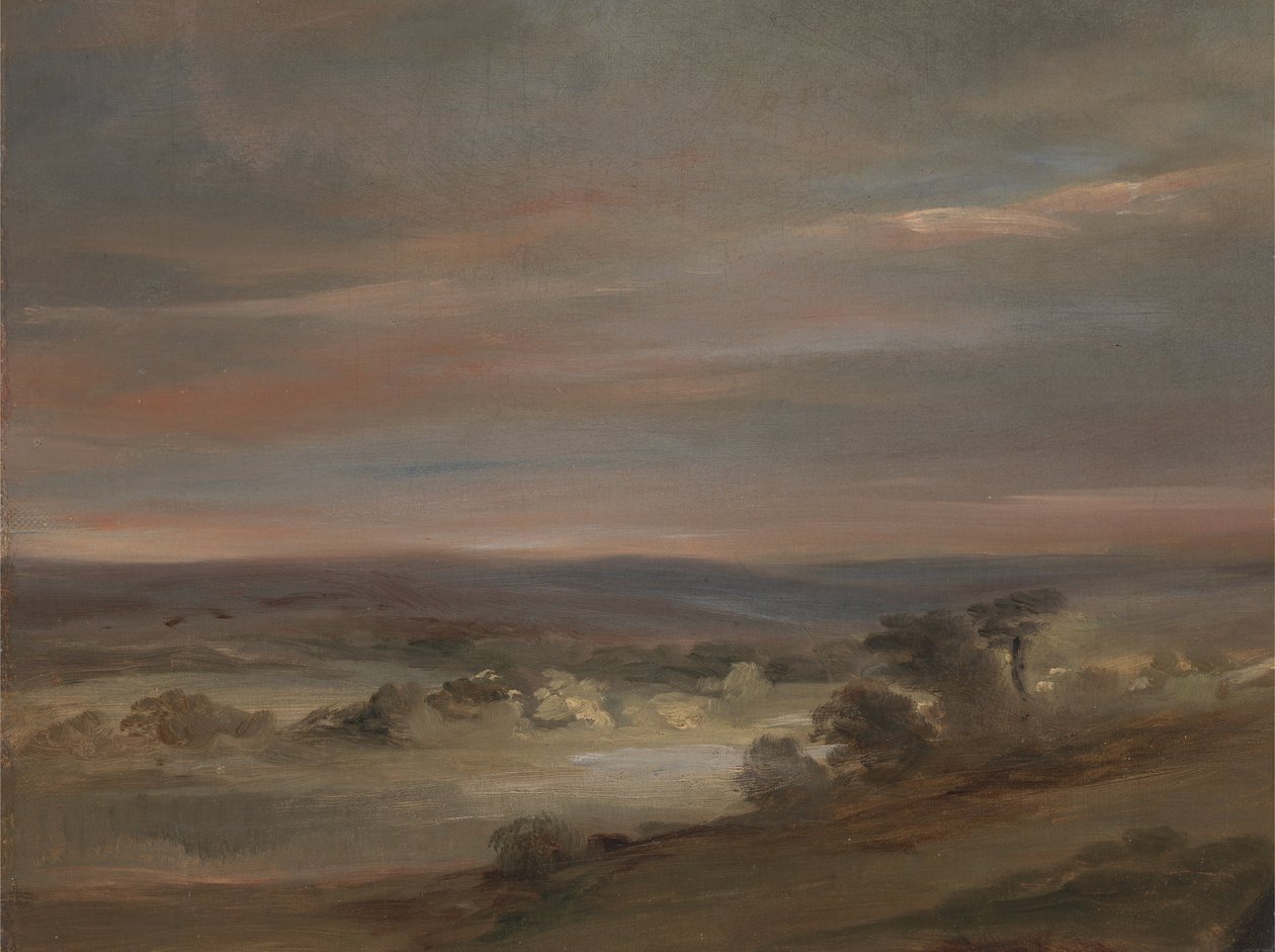Hampstead Heath