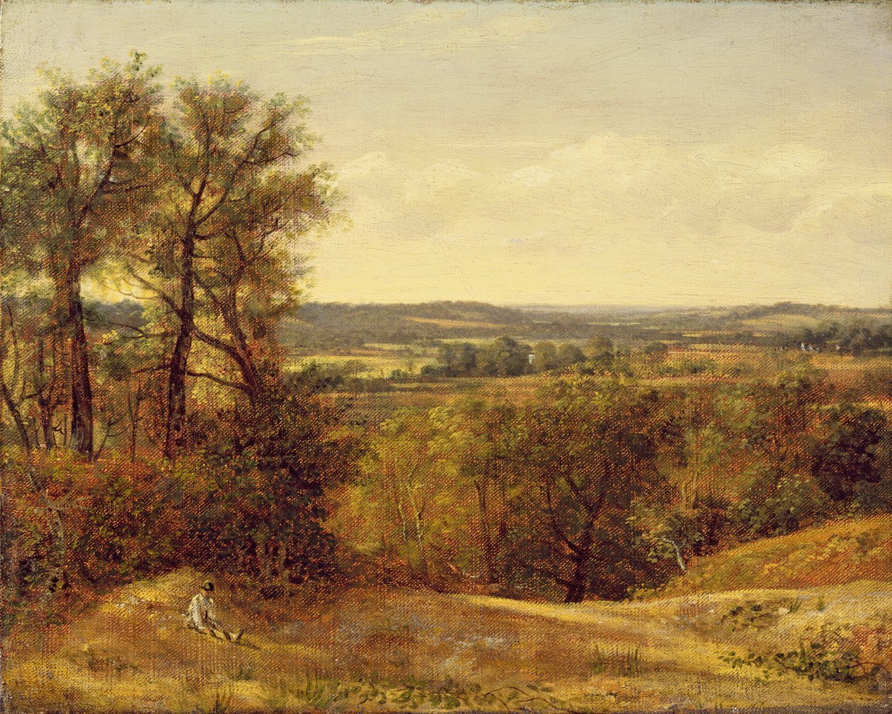 Dedham Vale, c.1802  by John Constable