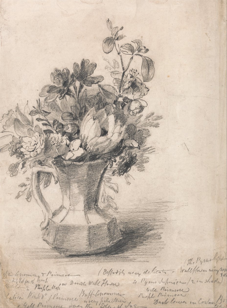 Sürahideki Çiçekler by John Constable