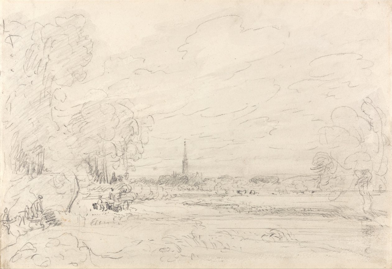 Meadows