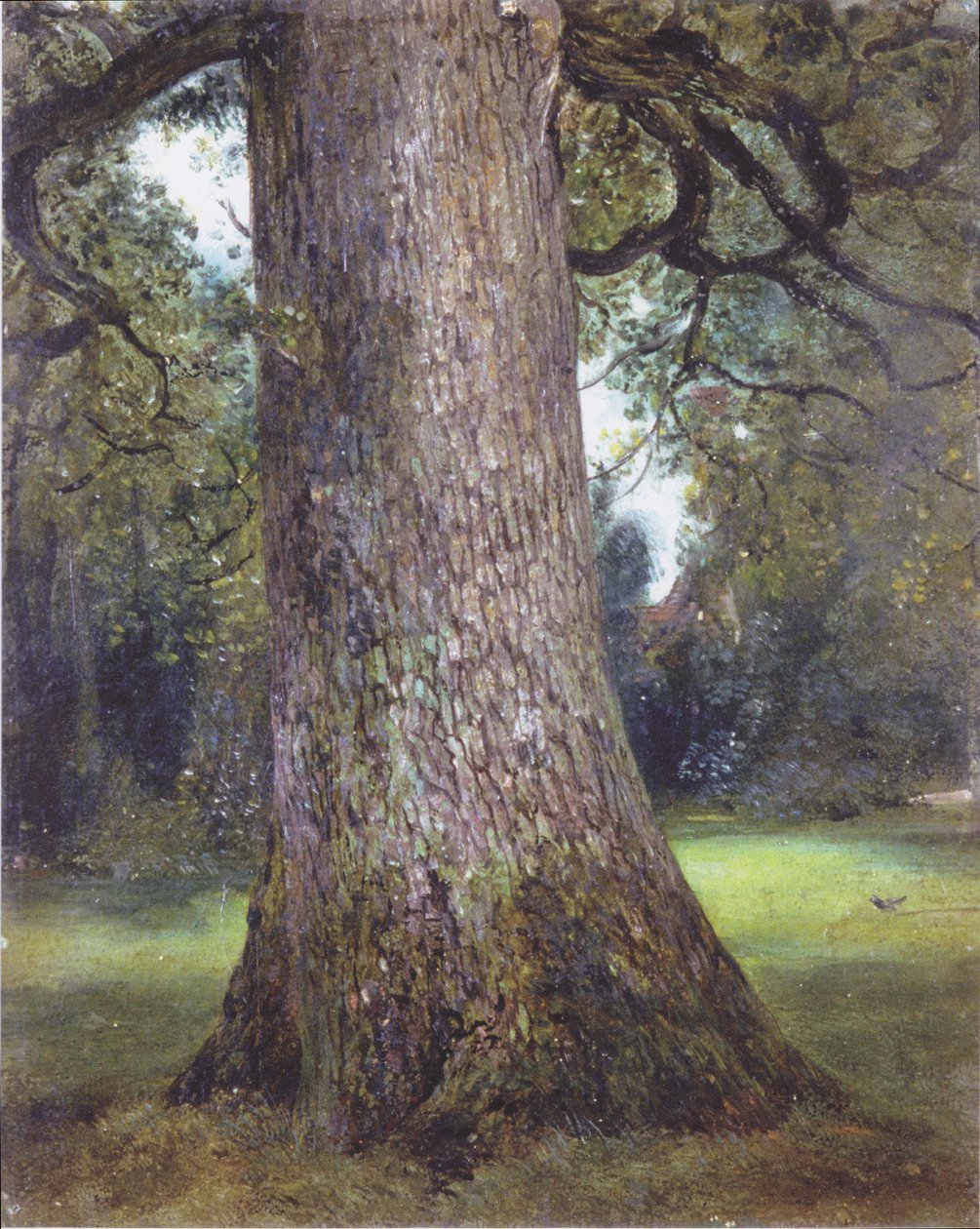Karaağaç Çalışması by John Constable