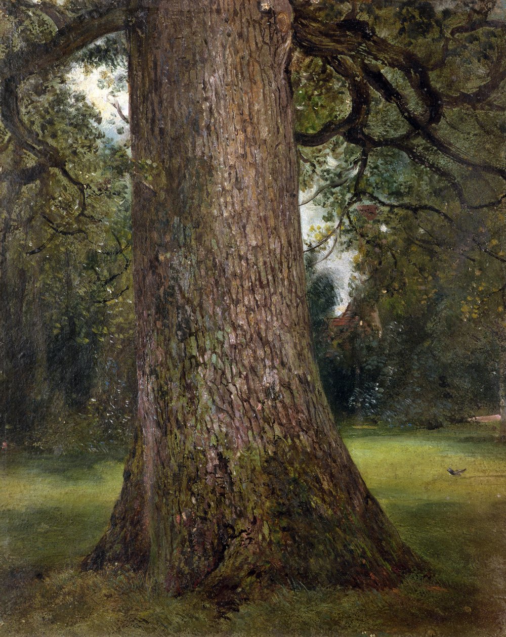 Bir Karaağaç Ağacının Gövdesinin İncelenmesi, c.1821 (kağıt üzeri yağlı boya) by John Constable