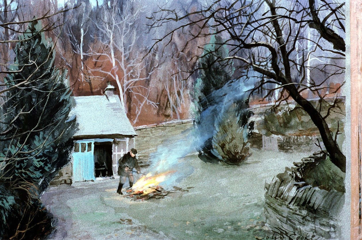 Lakeland Şenlik Ateşi, 1996 (guaş) by John Cooke