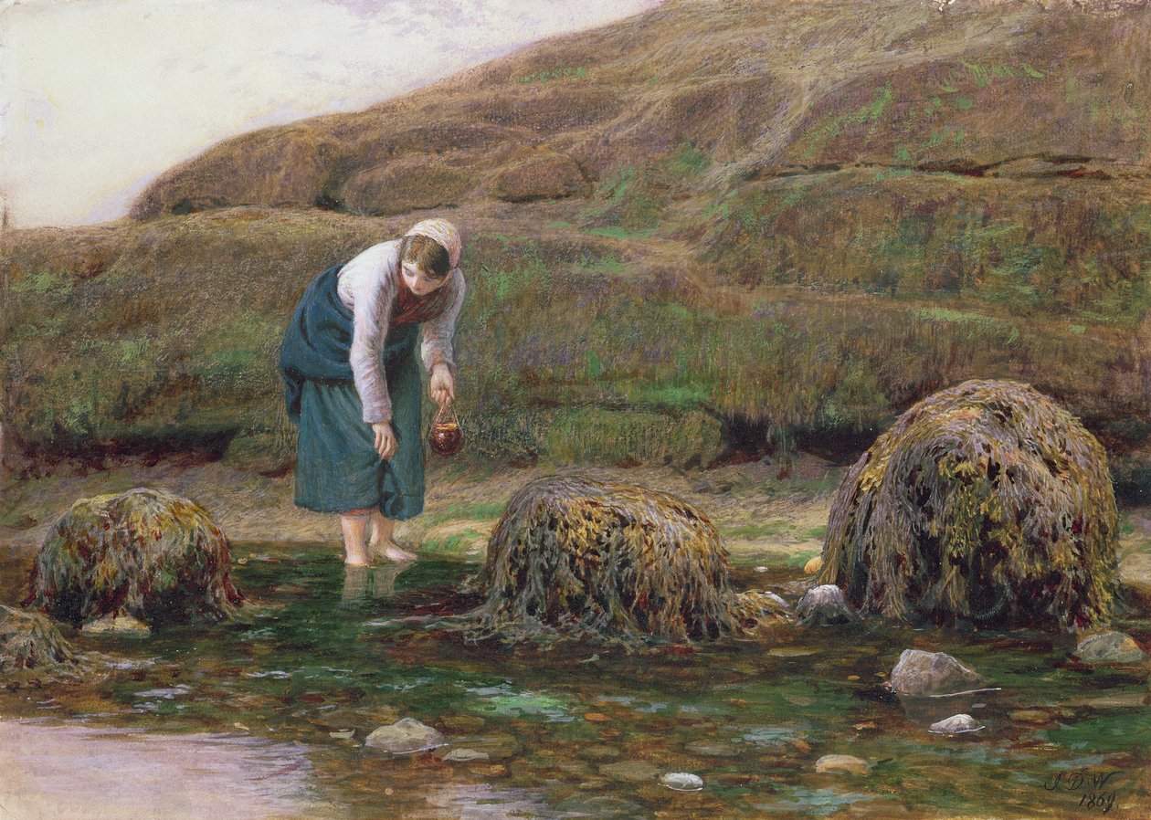 Kırışık Toplayıcı, 1869 by John Dawson Watson