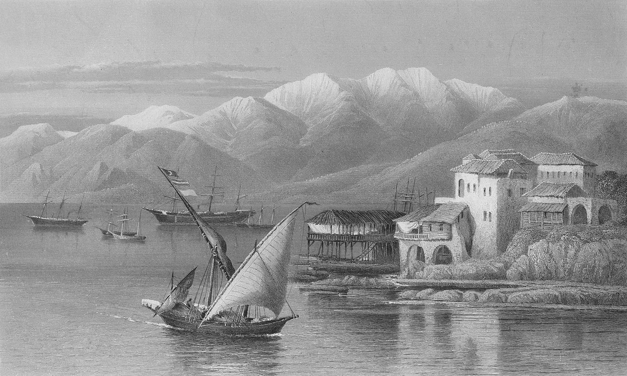 Beyrut Körfezi, C. Cousen tarafından oyulmuş by John Douglas Woodward