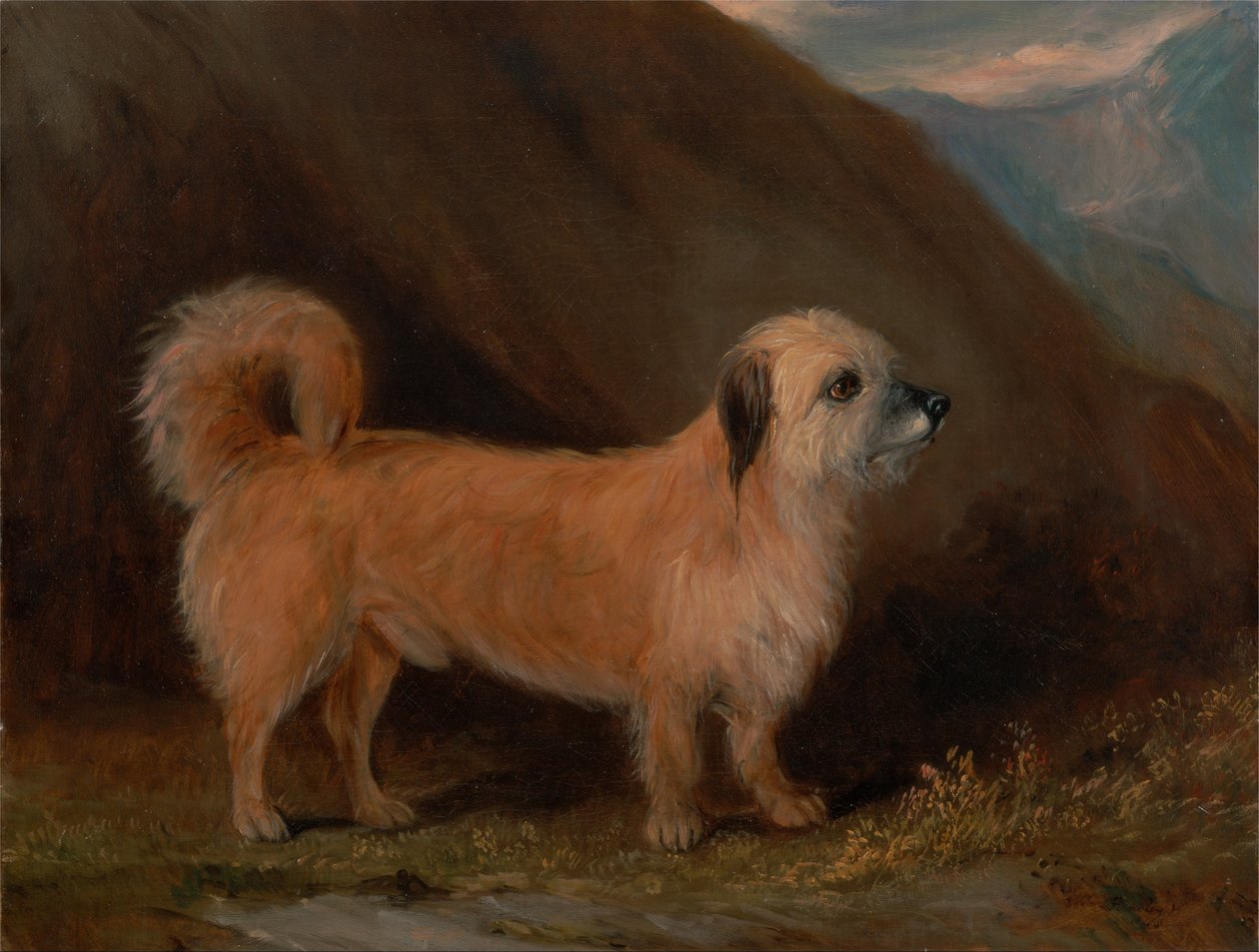 Bir Dandie Dinmont Teriyeri by John E. Ferneley