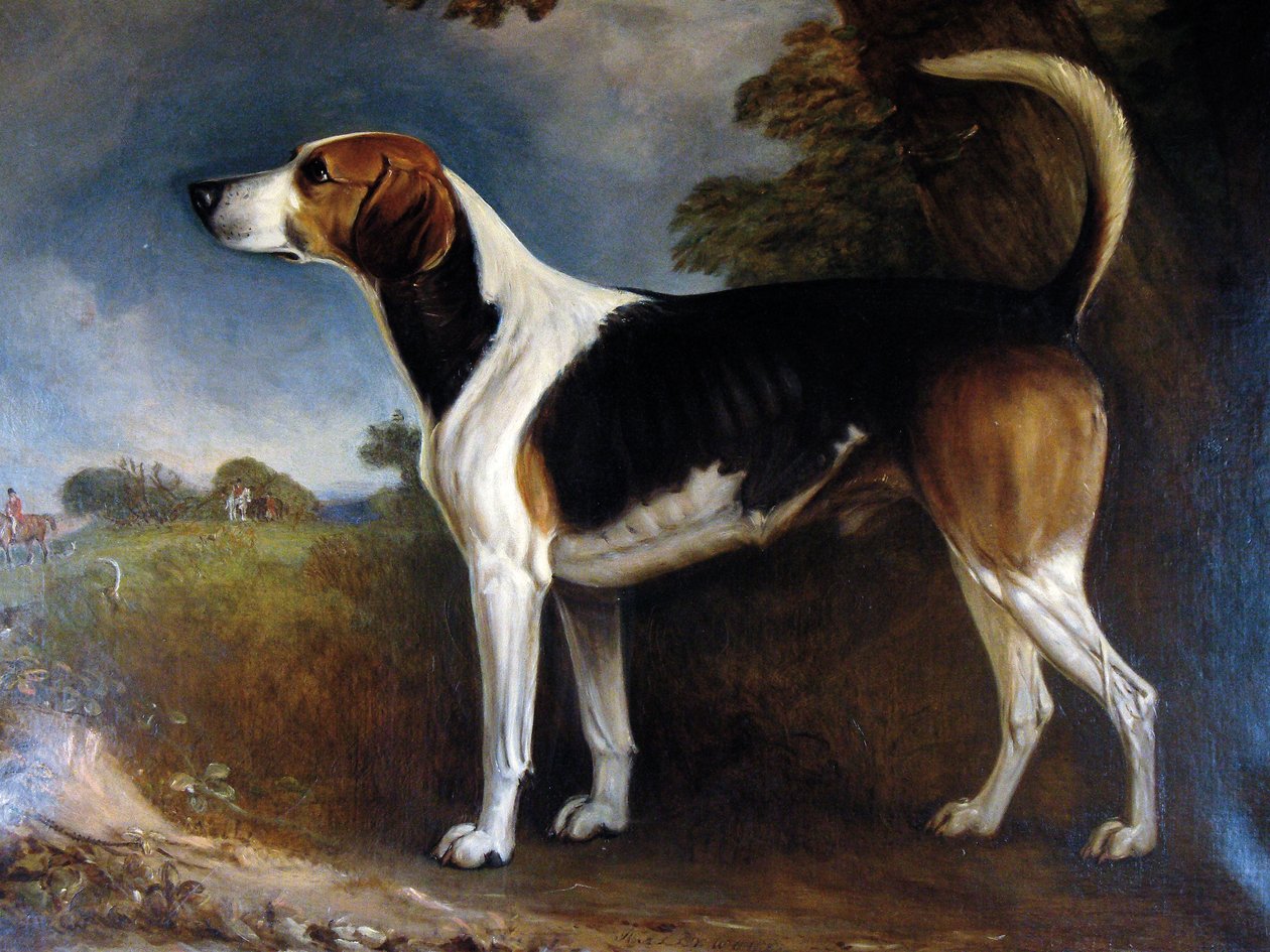 Ralli ağacı, 1850 by John E. Ferneley