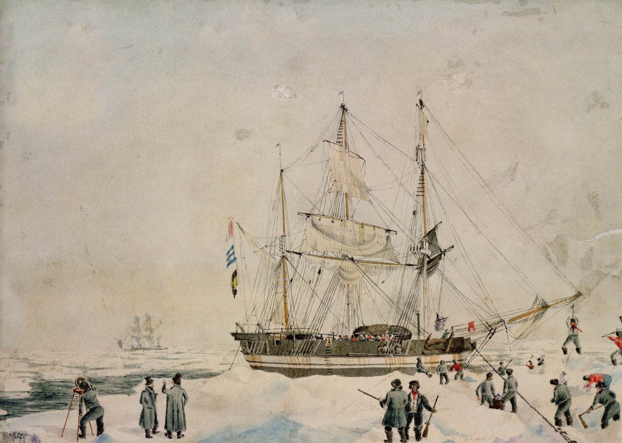 Sürüde Yürüyüş, Ross Seferi, 1842 by John Edward Davis