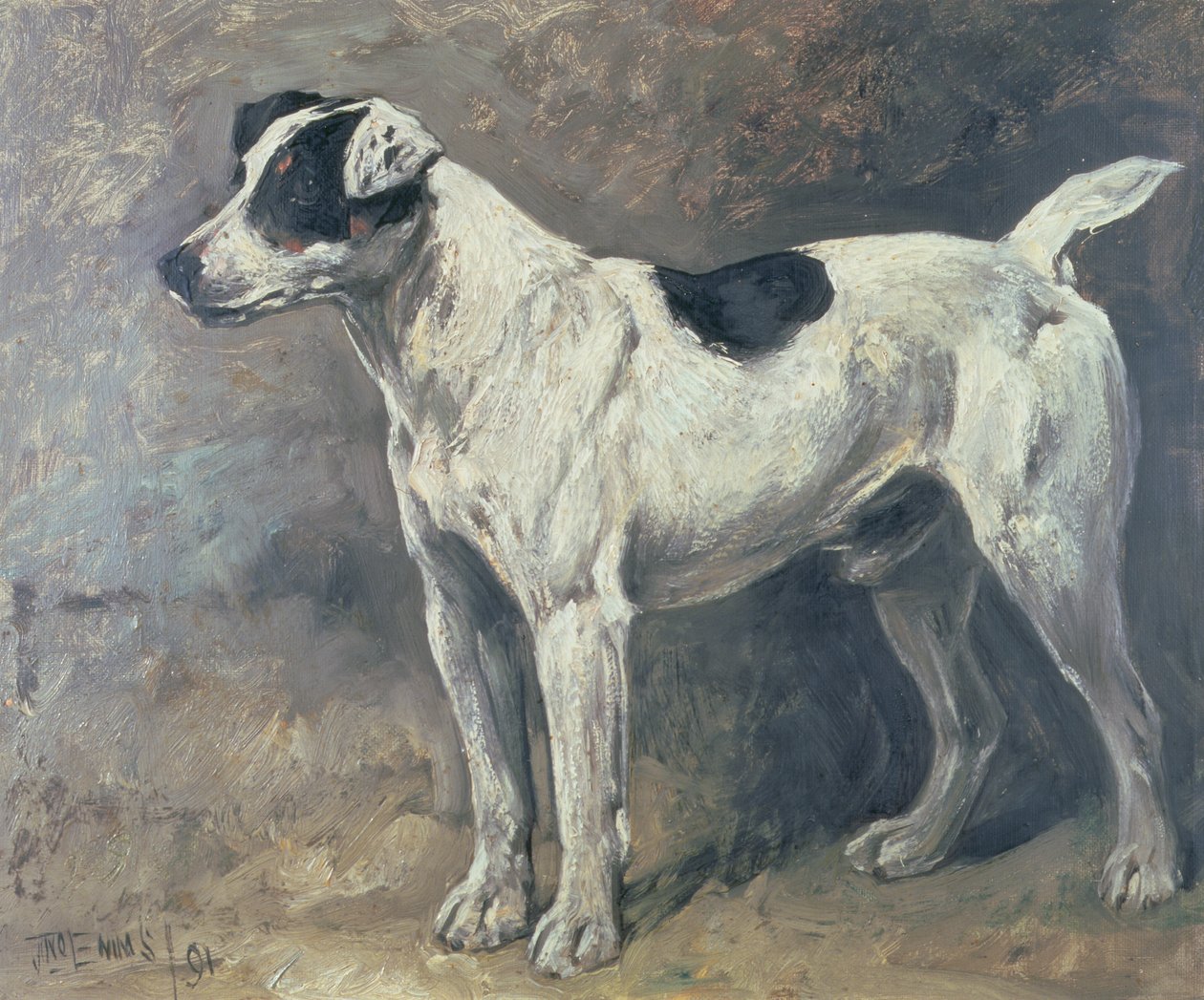 Bir Jack Russell, 1891 by John Emms