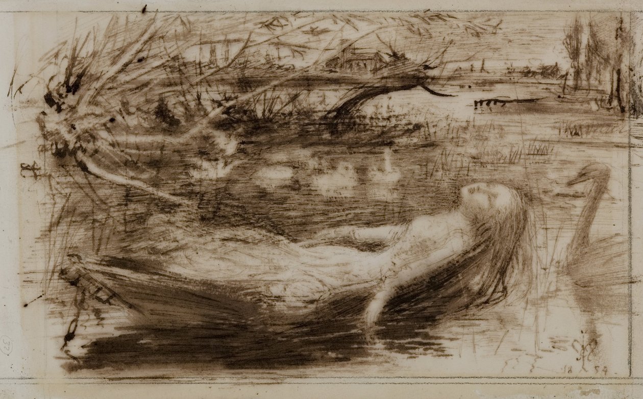 Shalott