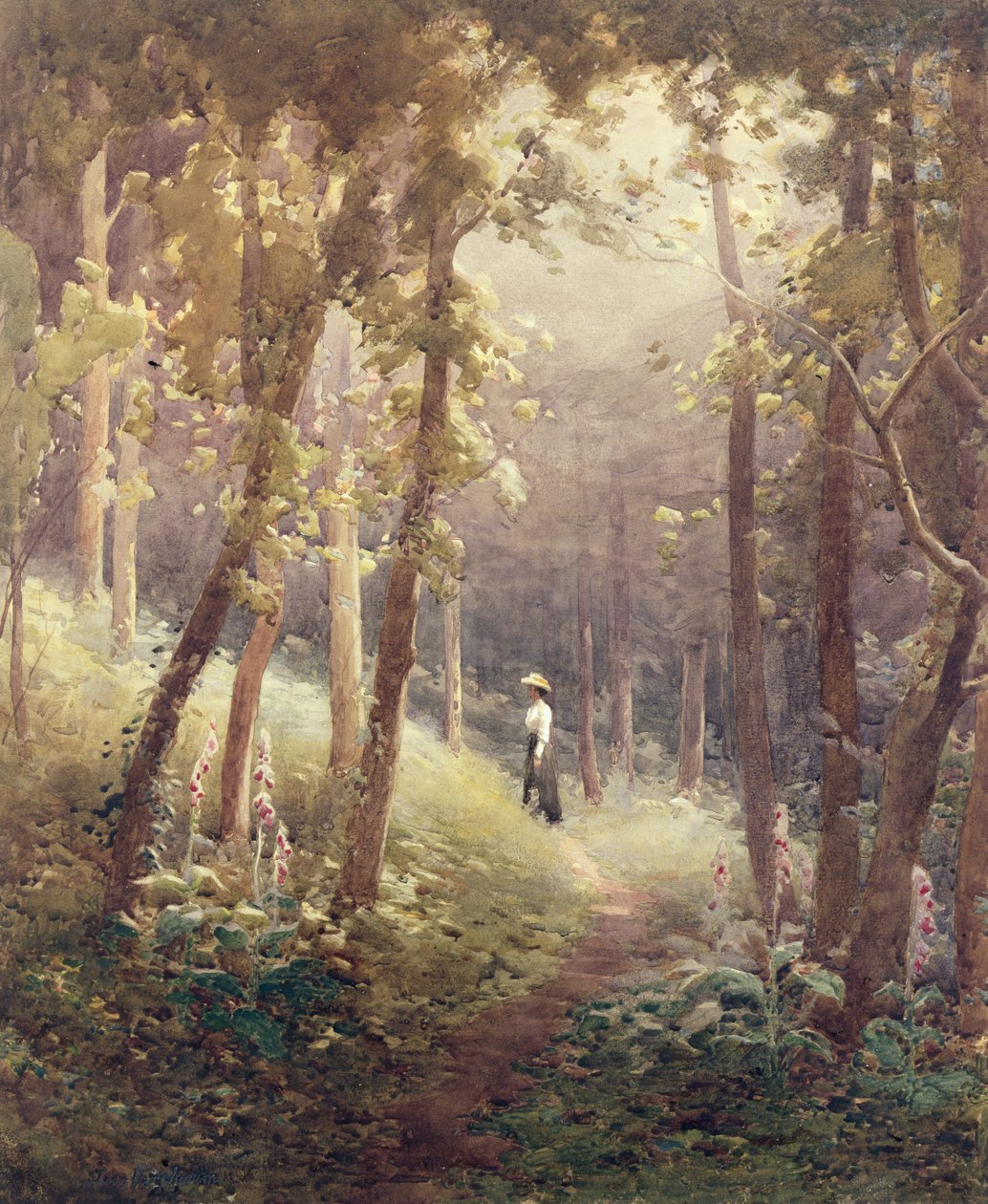 Orman Kayranı by John Farquharson