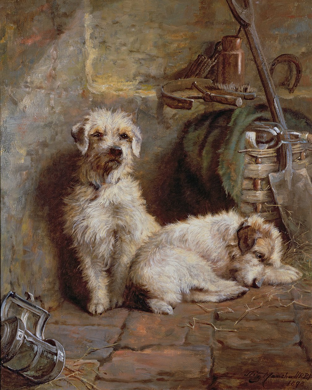 ಸ್ಟೇಬಲ್‌ಮೇಟ್ಸ್, 1898ಟರ್ಕ್ by John Fitz Marshall