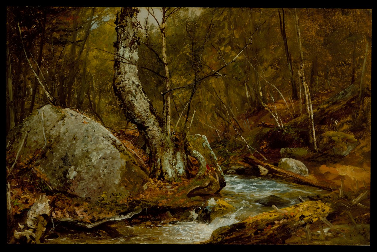 Woodland İçişleri, c.1850-55 by John Frederick Kensett