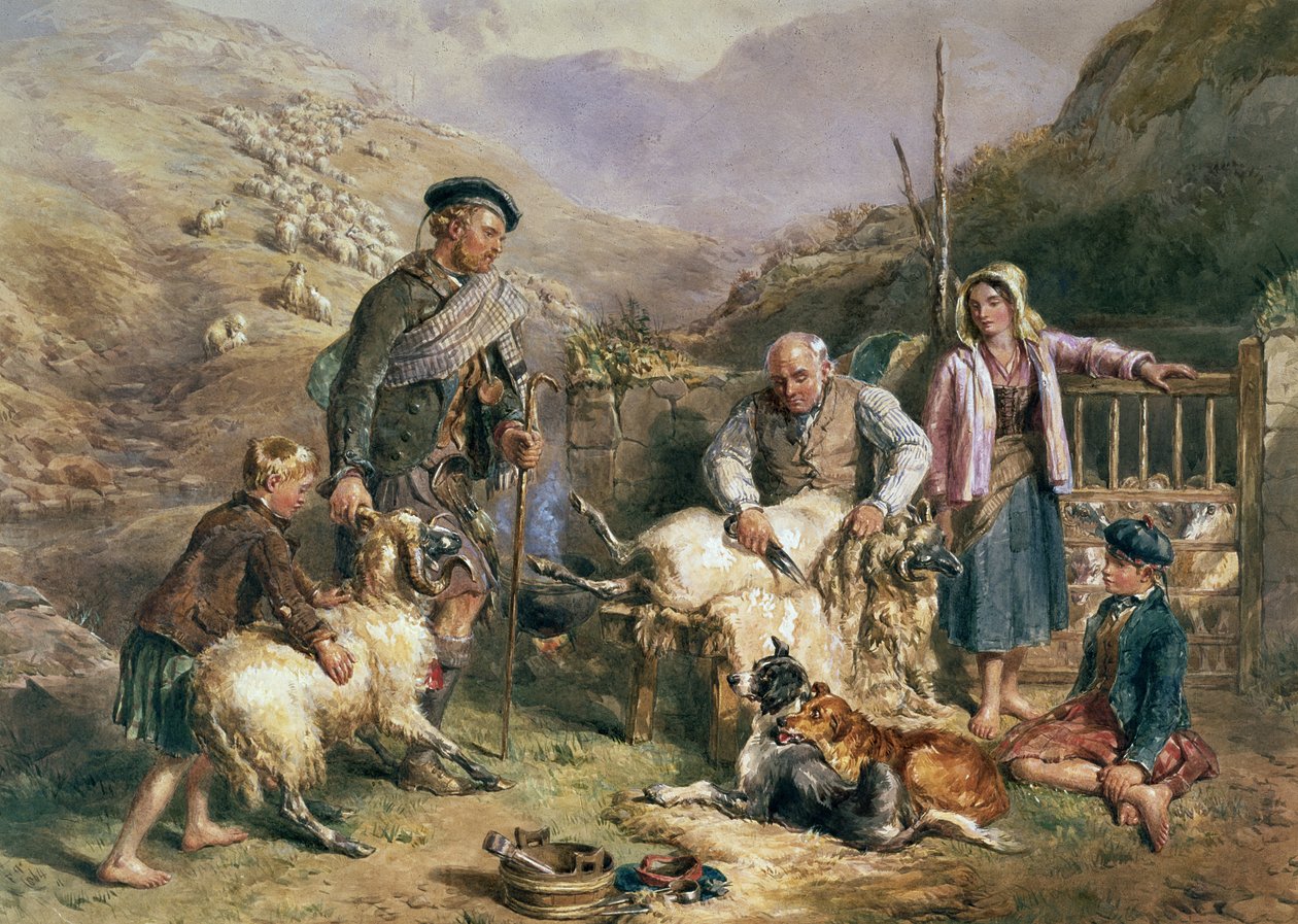 Koyun Kırkımı by John Frederick Tayler