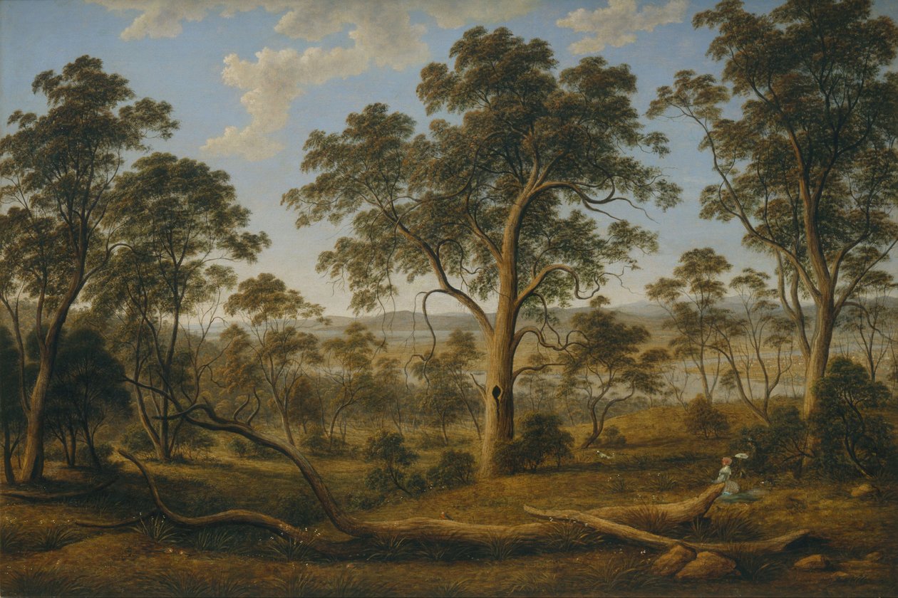 Launceston ve Tamar Nehri by John Glover