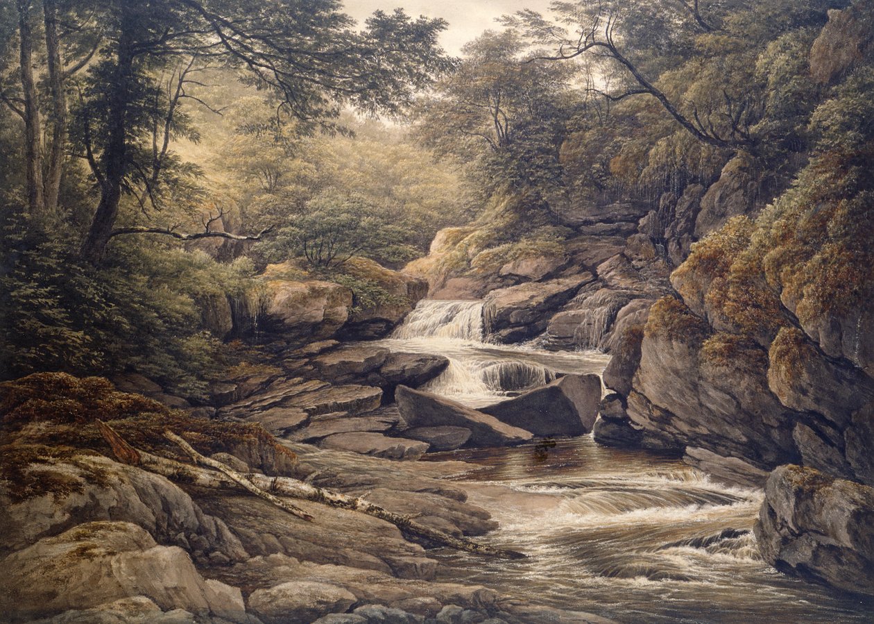 Rhiadr Ddu, Maentwrog, Kuzey Galler yakınlarında by John Glover