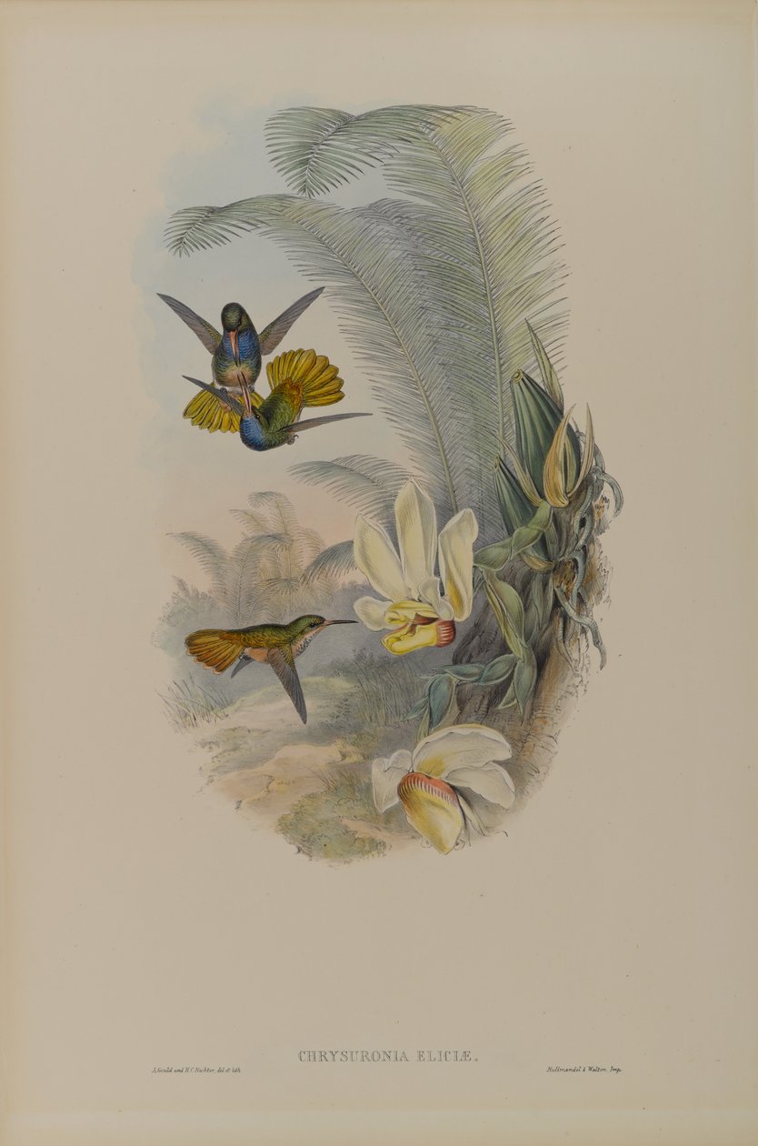 Bosham, 1920 (olía, wc, líkamslitur og blek á pappír) by John Gould