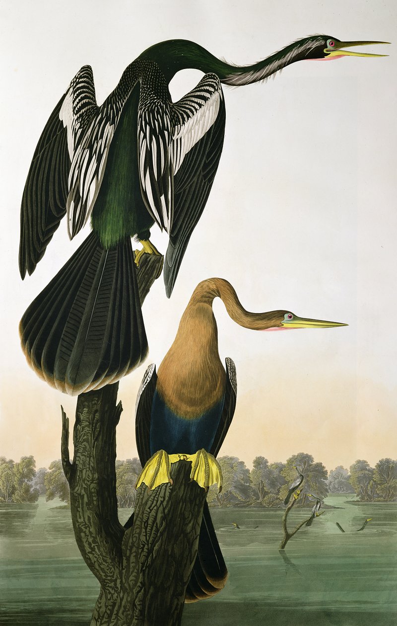 ರಾಬರ್ಟ್ ಹ್ಯಾವೆಲ್ (1793-1878) 1836 ಟರ್ಕ್‌ನಿಂದ ಕೆತ್ತಲ್ಪಟ್ಟ 