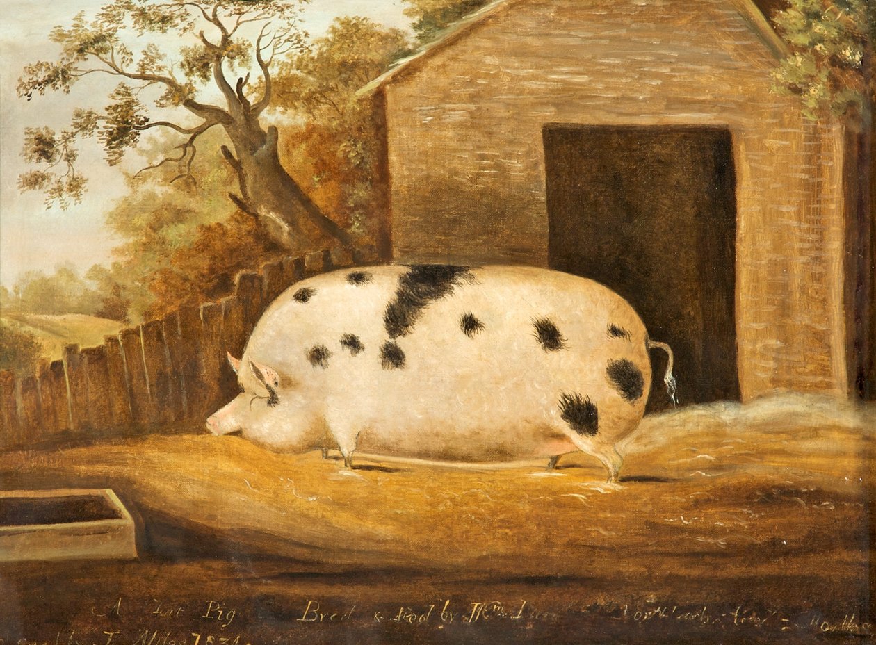 Gloucester Eski Nokta Domuz, 1834 by John Miles of Northleach