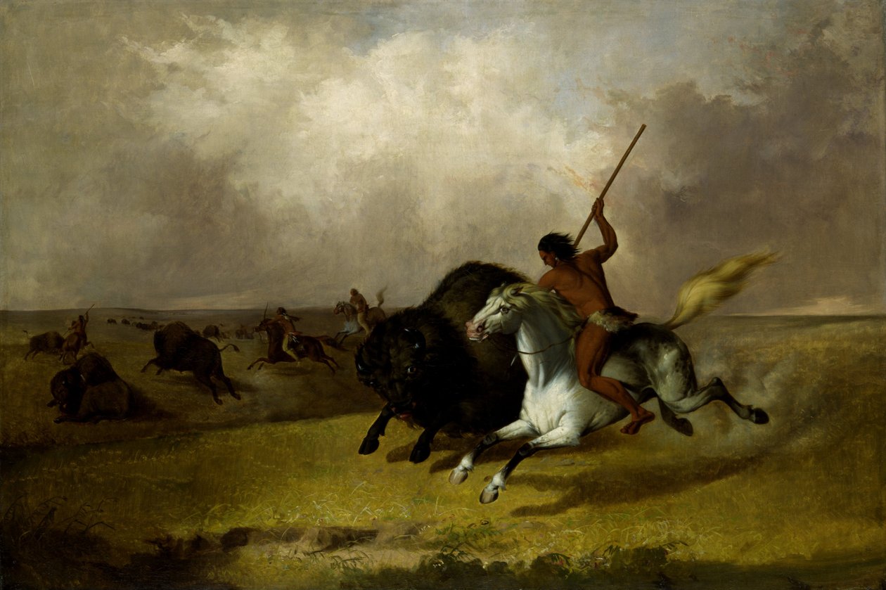 Güneybatı Çayırlarında Bufalo Avı by John Mix Stanley