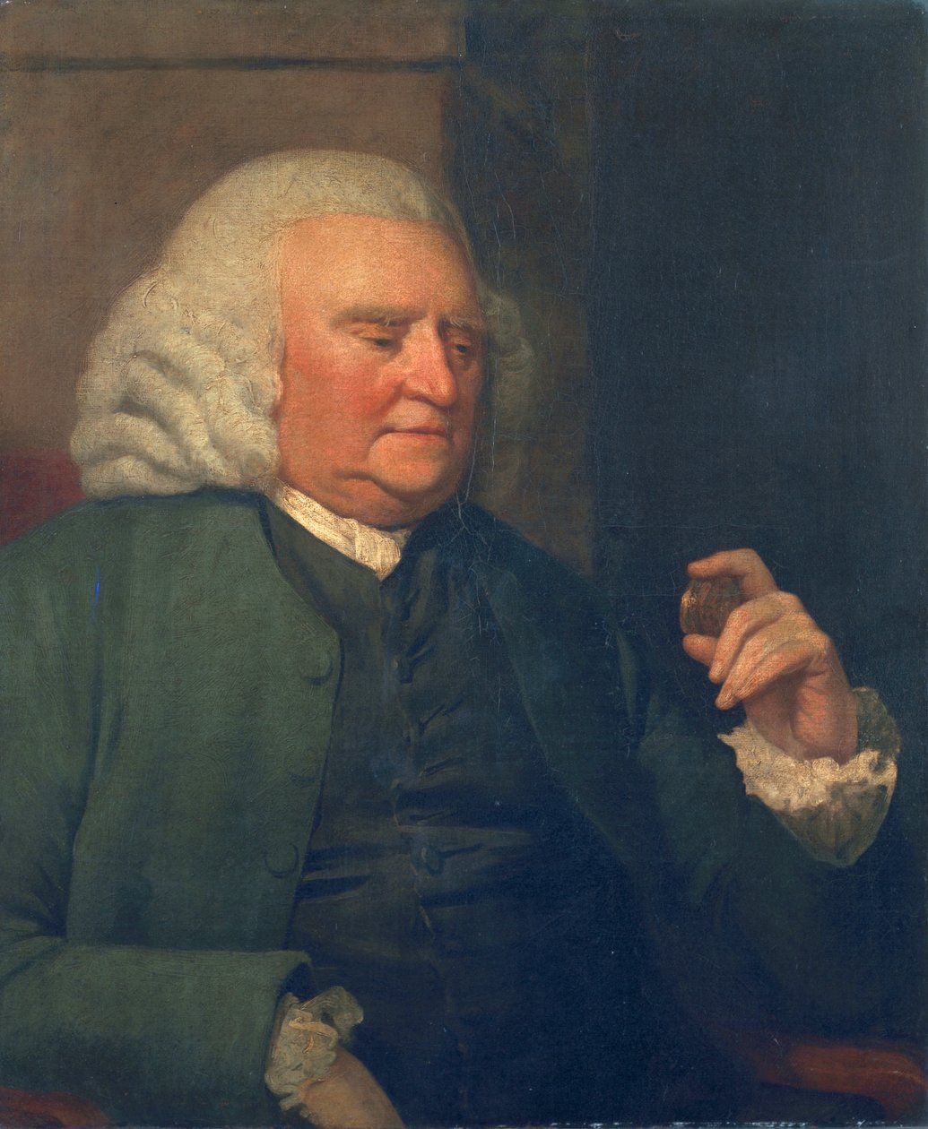 Bilinmeyen adam, adı Samuel Johnson by John Opie
