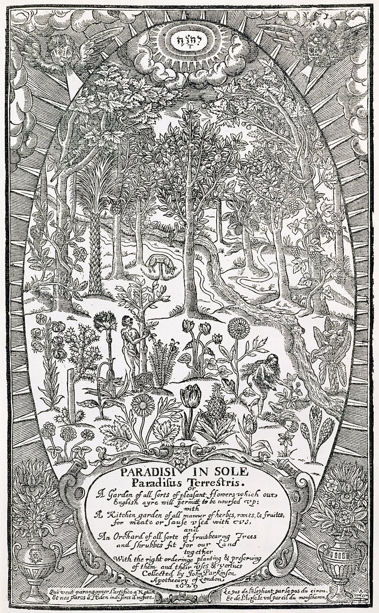 Paradisi Sole