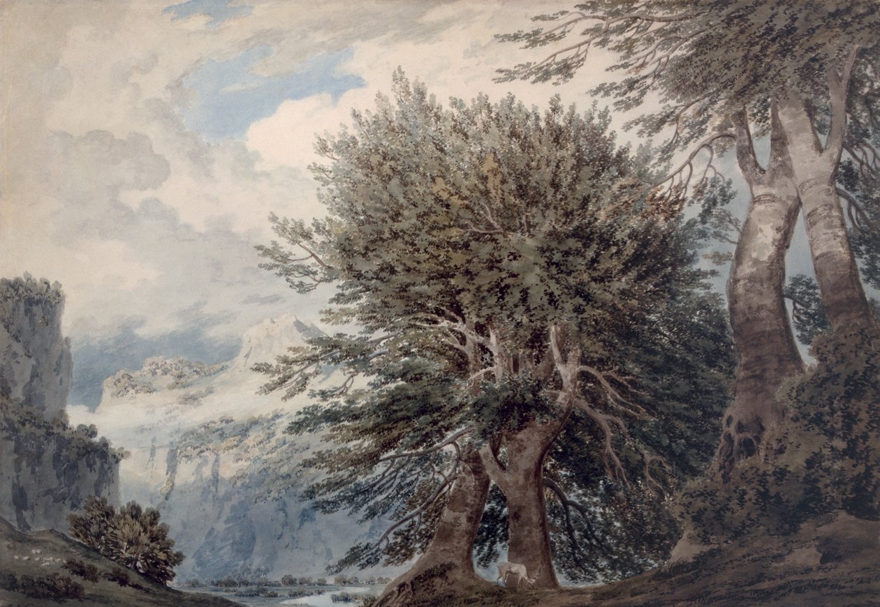 Kayın Ağaçları ile Dağlık Manzara, 1792 by John Robert Cozens