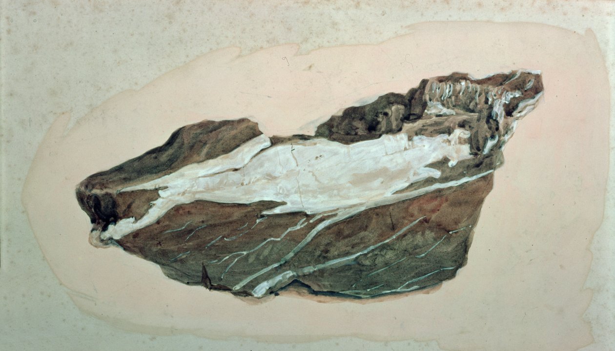 Kuvars damarlı Kaya Çalışması, 19. yüzyıl by John Ruskin