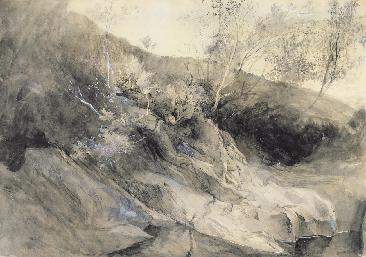 Bir Nehrin Kayalık Kıyısı - Verso: yeşillik taslağı, c.1853 (kağıt üzerinde grafit üzerinde kalem ve mürekkeple yıkayın) by John Ruskin