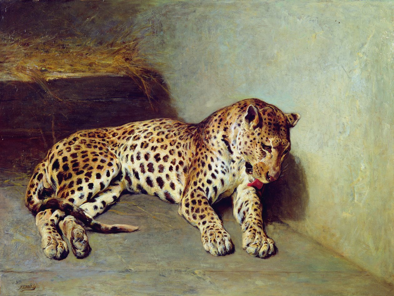 Leopar by John Sargent Noble
