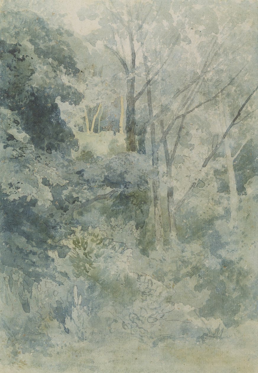 Rokeby Park
