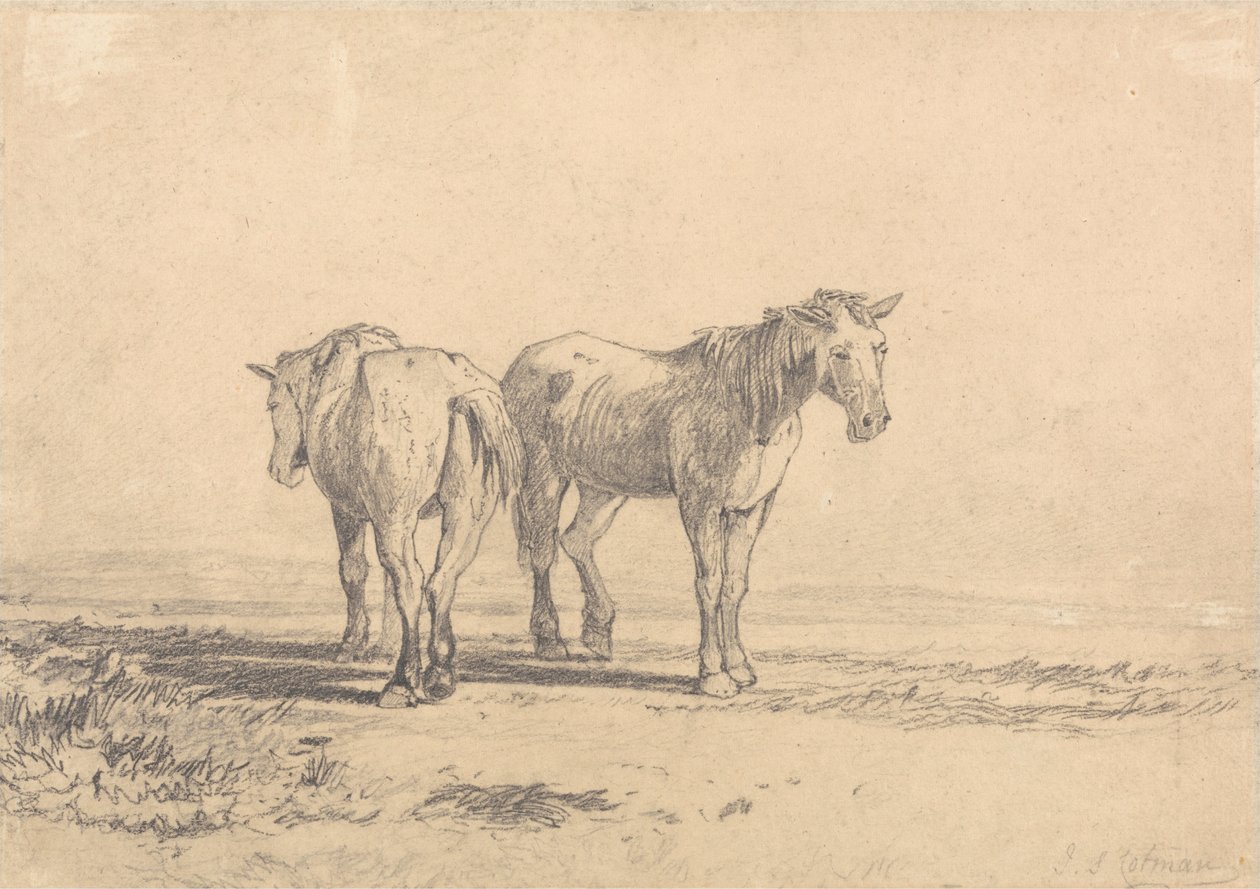 Bir Tarlada Duran İki Yaşlı At by John Sell Cotman