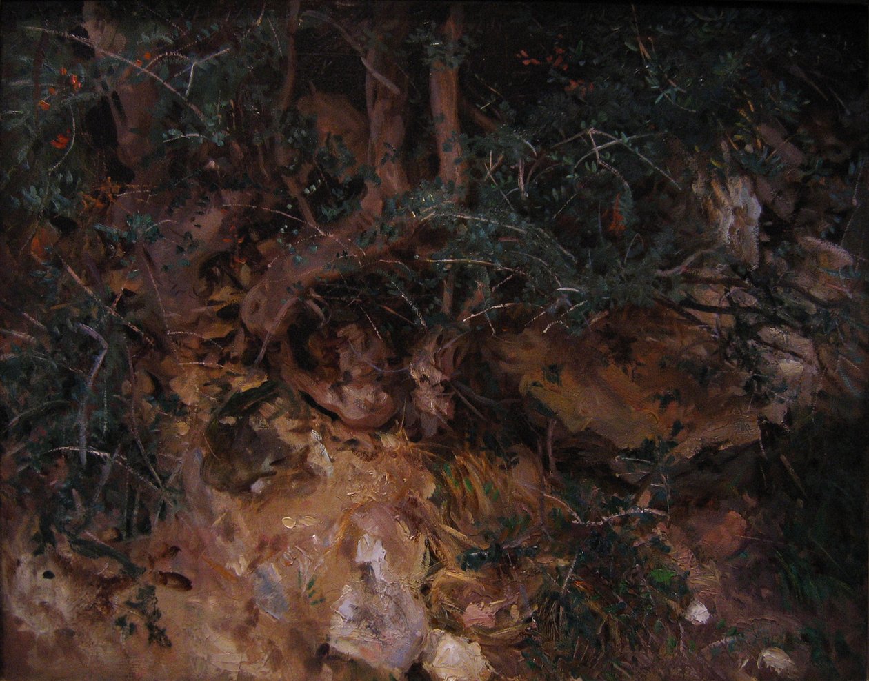 Valldemossa, Mayorka: Bir Yamaçta Devedikeni ve Ot by John Singer Sargent
