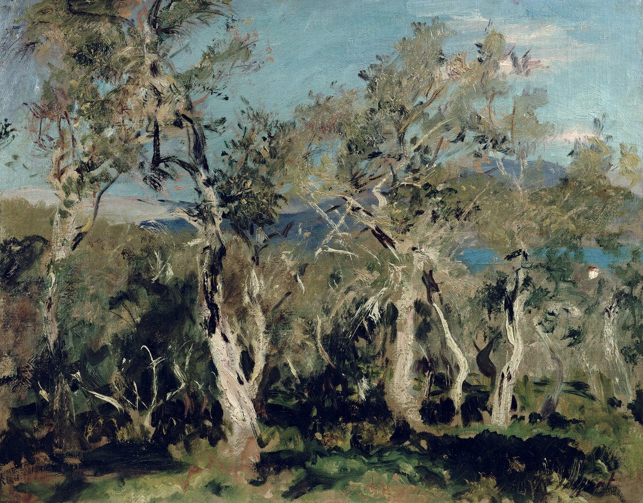 Zeytin, Korfu, 1912 by John Singer Sargent