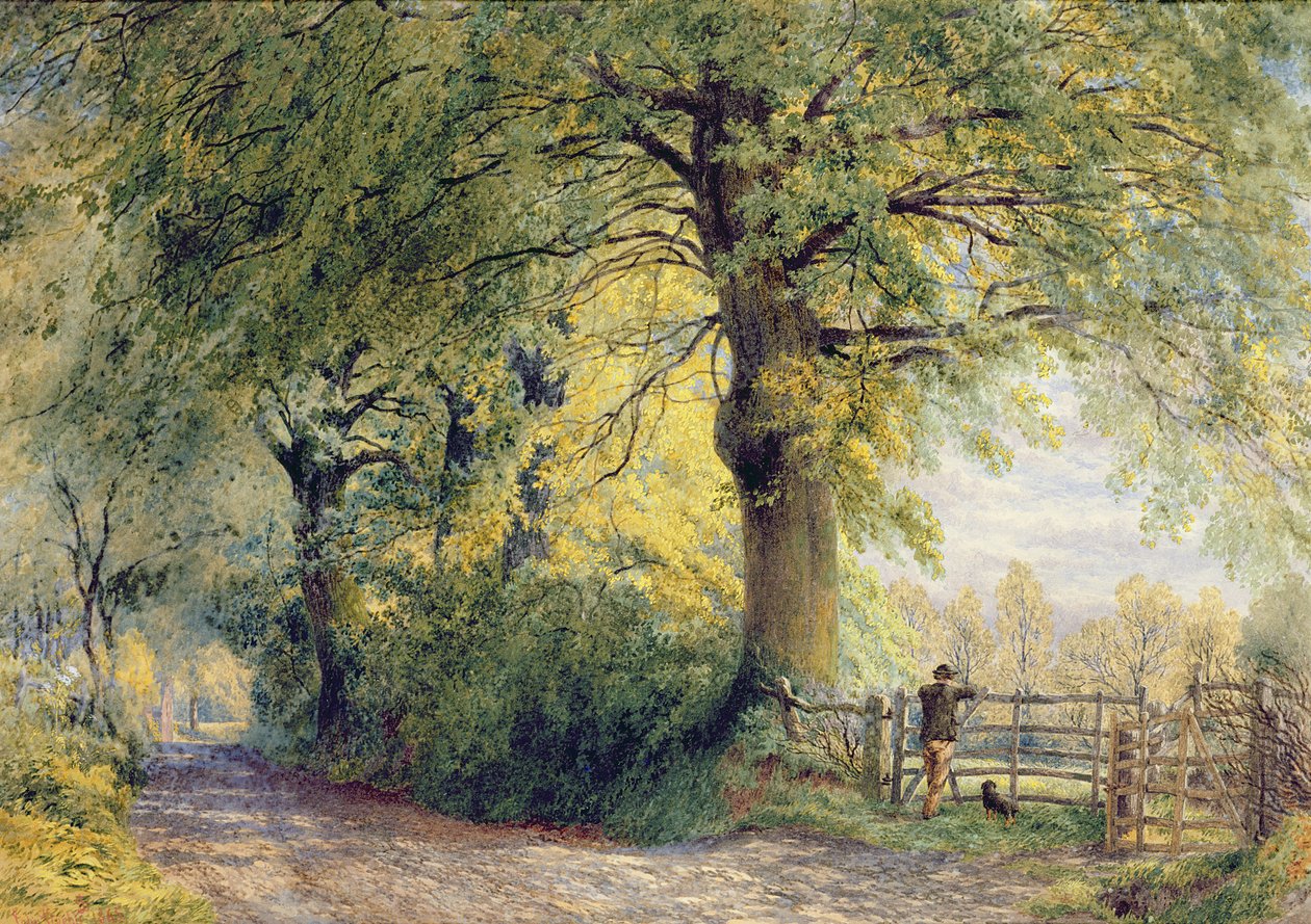 Apaçi şefi Geronimo, 1885
