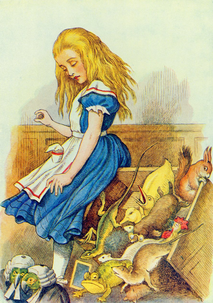 Alice Jüri Kutusunu Üzüyor, Lewis Carroll