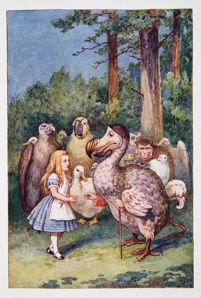 Alice Harikalar Diyarında Ve Aynanın İçinden Alice