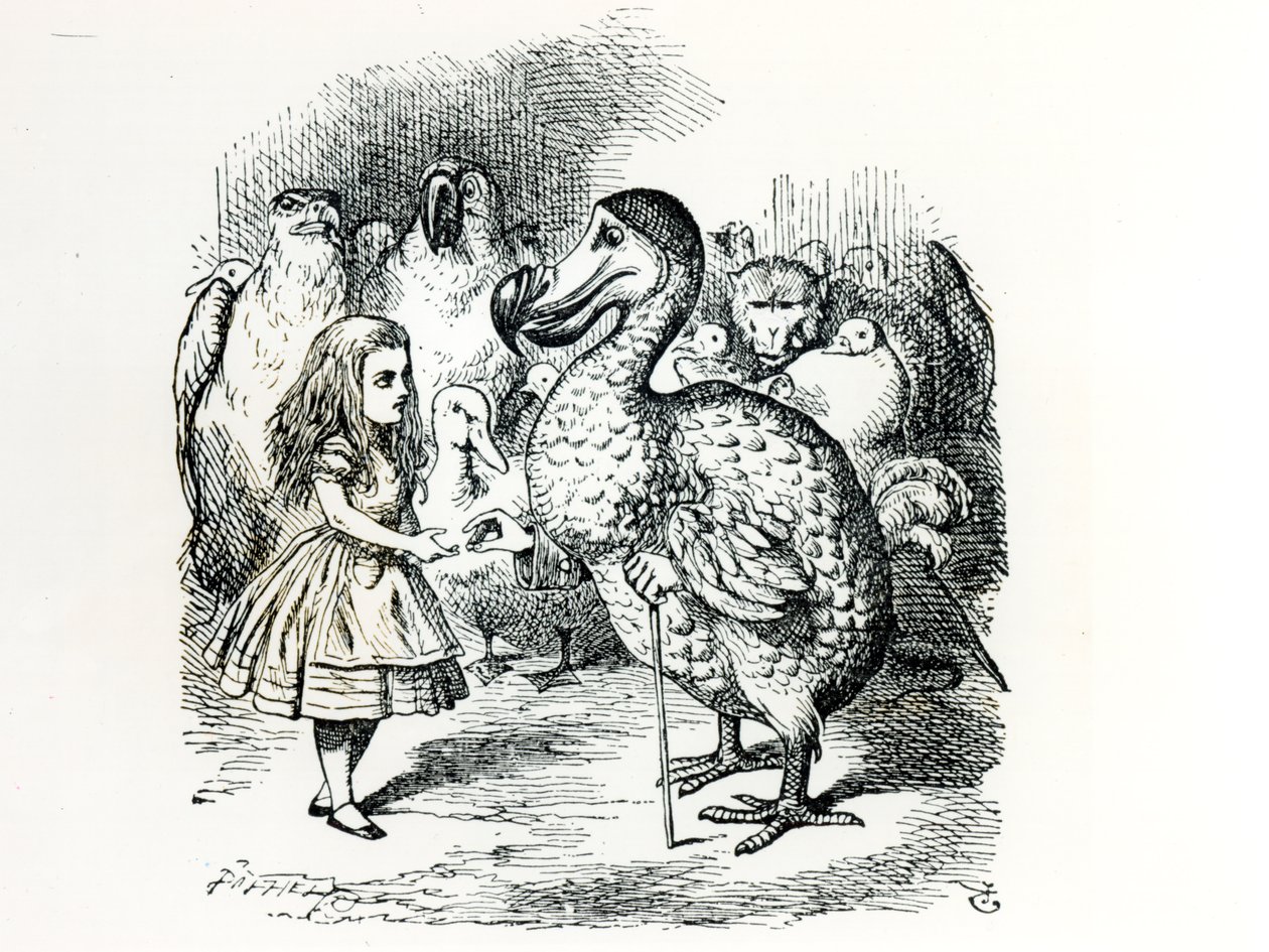 Alice Dodo ile tanışır, Lewis Carroll