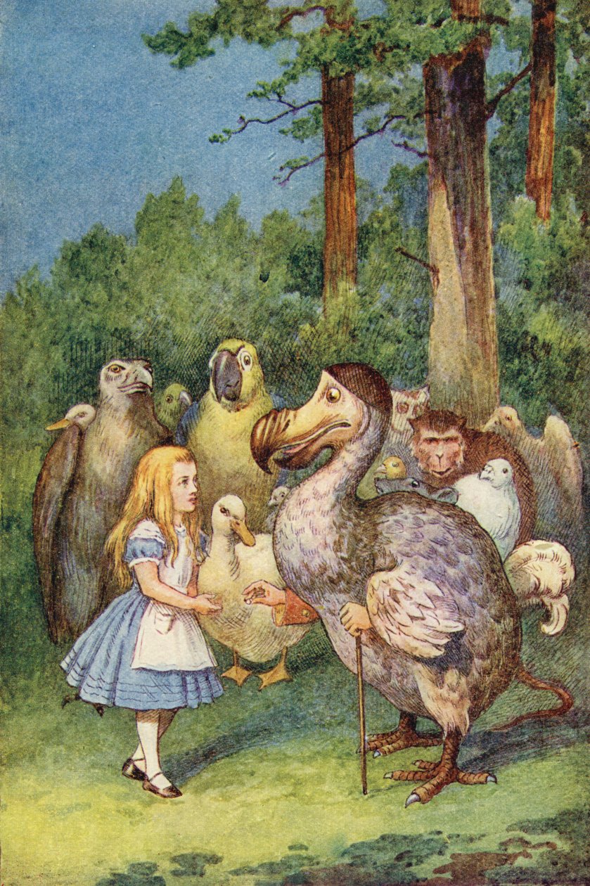Dodo, Alice