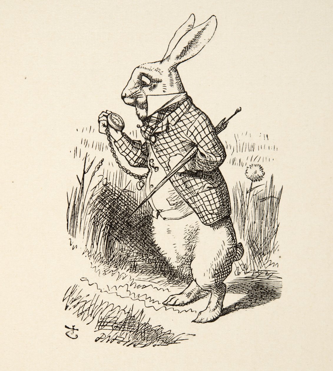 Beyaz Tavşan, Lewis Carroll (1832 - 98) tarafından yazılan Alice Harikalar Diyarında