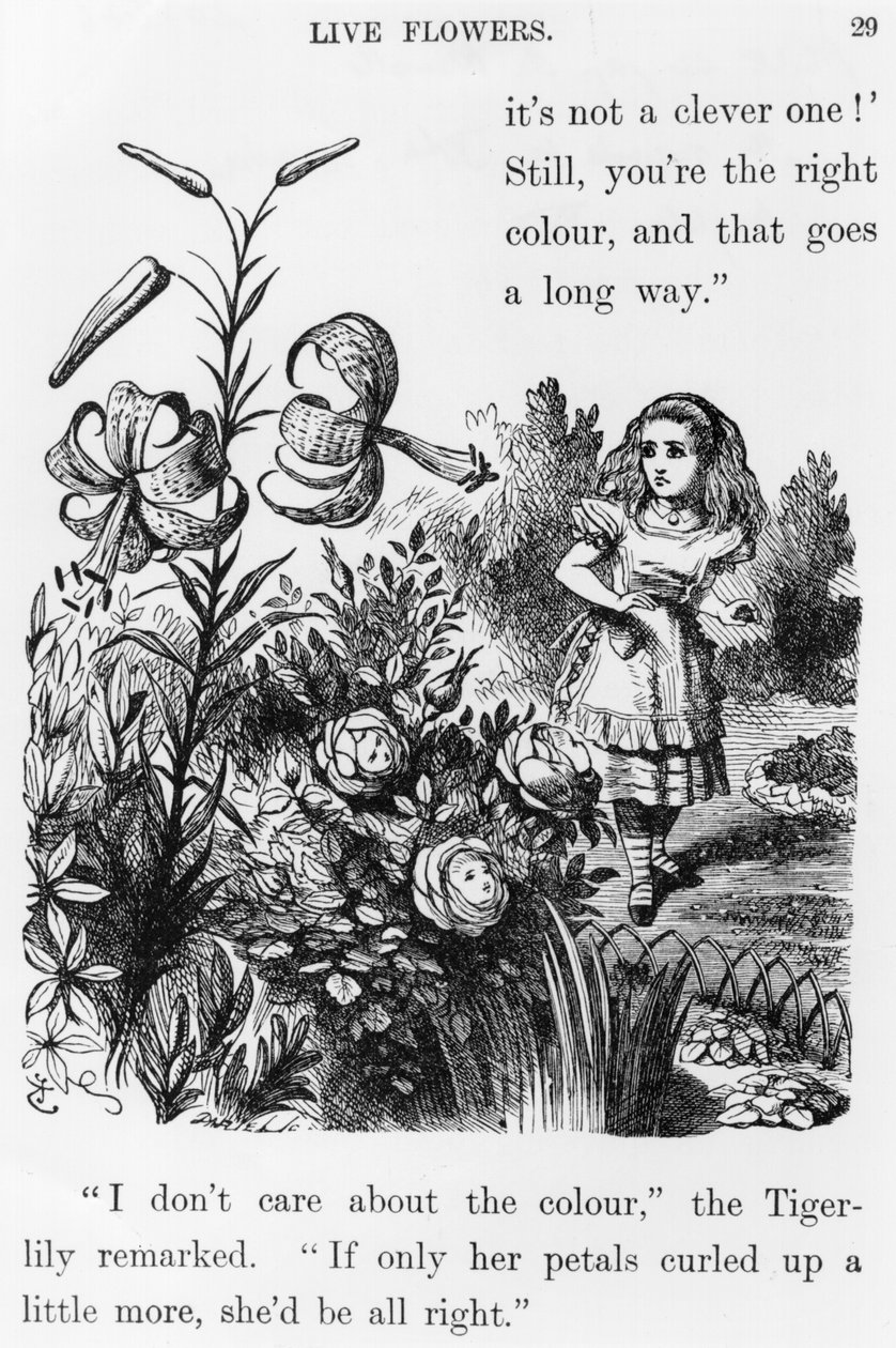 Nicholas Borbonius (su meraklısı) by John Tenniel