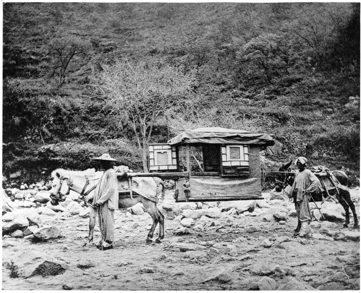 Pekingese Katır Kumu, c.1867-72 by John Thomson