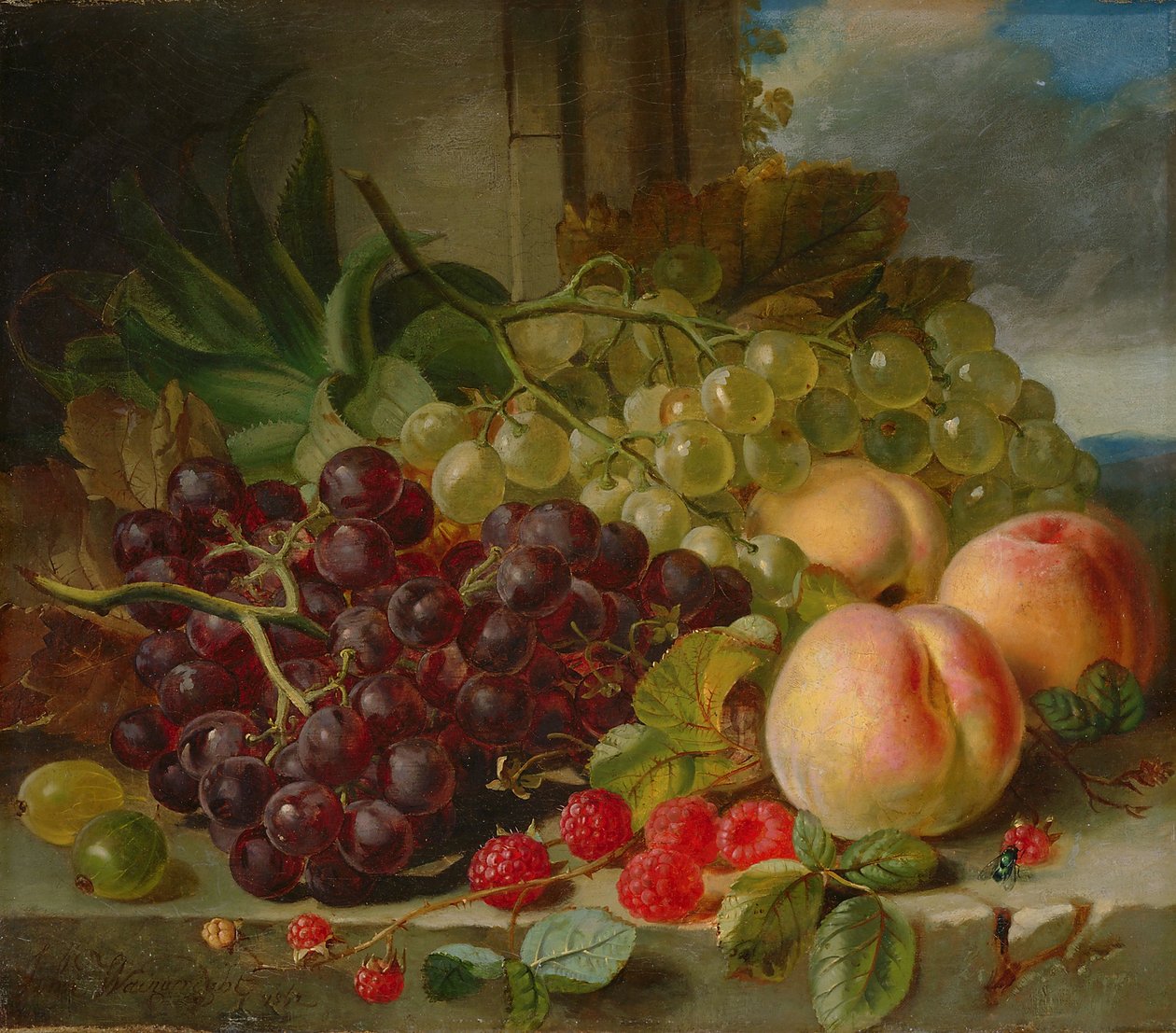 Meyveli Natürmort, 1862 by John Wainwright
