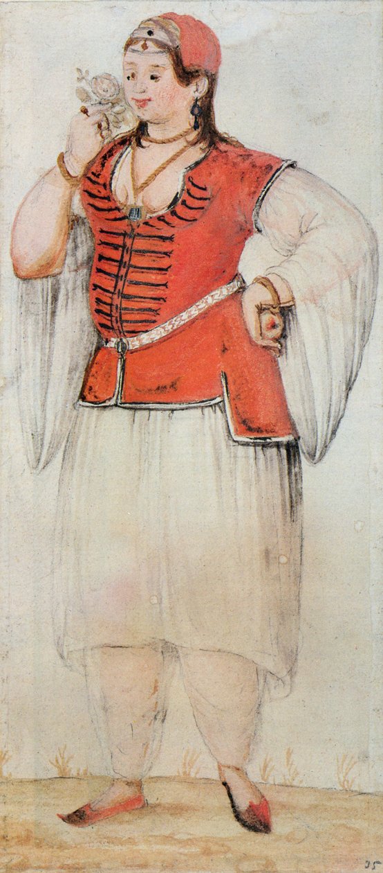 Yunan veya Türk kadını by John White