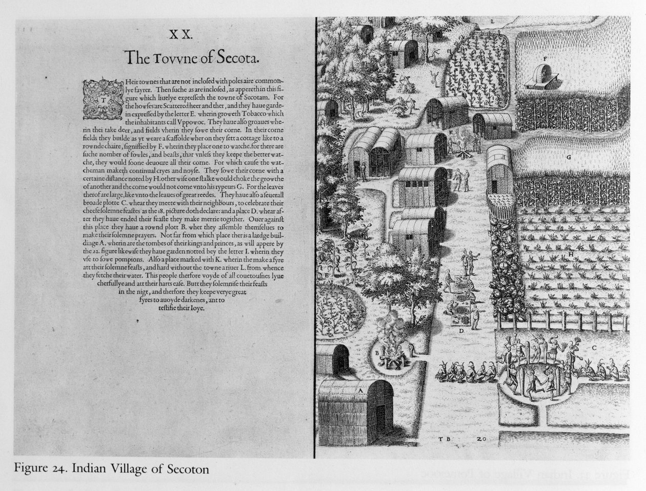 Indian Village of Secoton  by John White